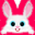 小飞兔